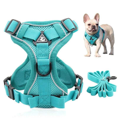 Adjustable & Reflective Dog Harness Set Pet Harness On Sale Fussy Claws and Paws