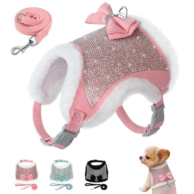 Adorable Dog Harness Vest and Leash Set Pet Harness On Sale Fussy Claws and Paws