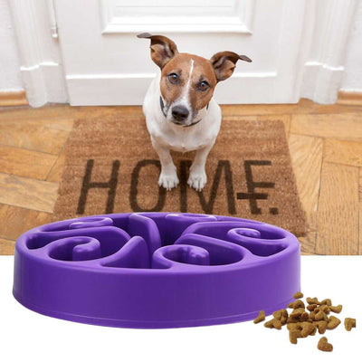 Anti Choking Slow Feeder Pet Bowl Pet Slow Feeder Feeding Fussy Claws and Paws