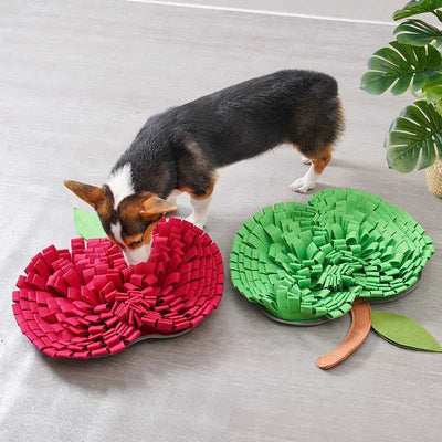 Apple Shape Snuffle Mat Pet Slow Feeder Best Sellers Fussy Claws and Paws