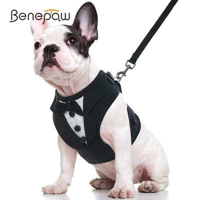 Benepaw No Pull Tuxedo Dog Harness Pet Harness On Sale Fussy Claws and Paws