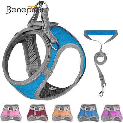 Benepaw Soft Dog Harness & Leash Set Pet Harness On Sale Fussy Claws and Paws