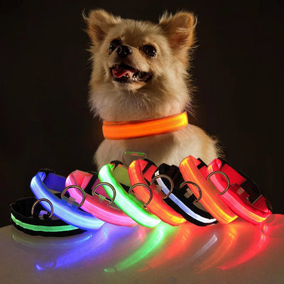 USB Charging LED Dog Collar - Fussy Claws and Paws