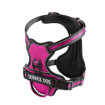 Personalized  Reflective Dog Harness - Fussy Claws and Paws