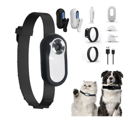 Pet Camera Collar - Fussy Claws and Paws