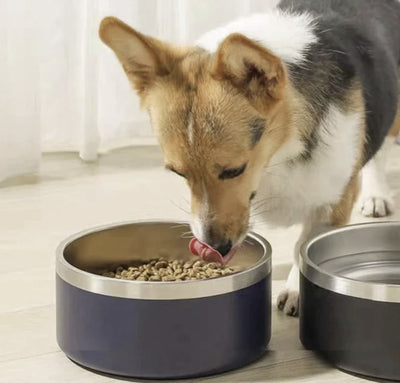 Stainless Steel Pet Bowl - Fussy Claws and Paws