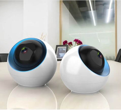 Infrared 1080P WiFi Dome Camera - Fussy Claws and Paws